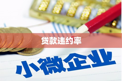 百色贷款违约率