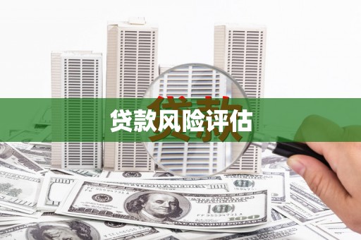 百色贷款风险评估