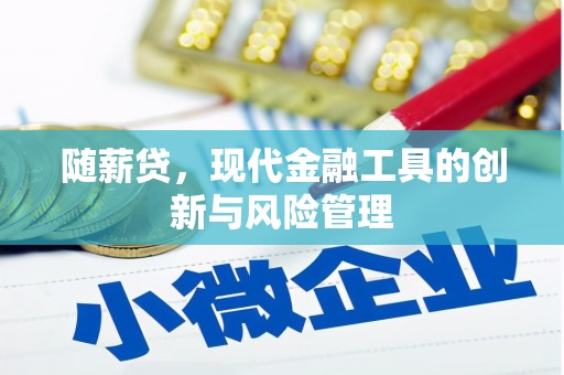 百色随薪贷，现代金融工具的创新与风险管理