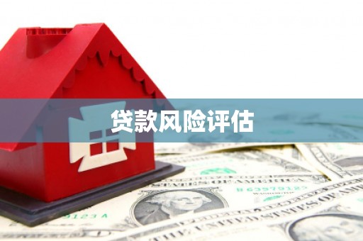 百色贷款风险评估