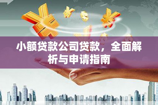 百色小额贷款公司贷款，全面解析与申请指南