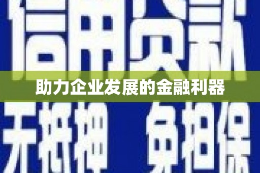 百色助力企业发展的金融利器