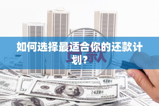 百色如何选择最适合你的还款计划？