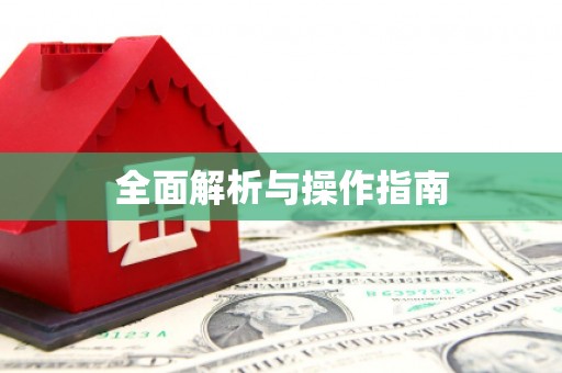 百色全面解析与操作指南