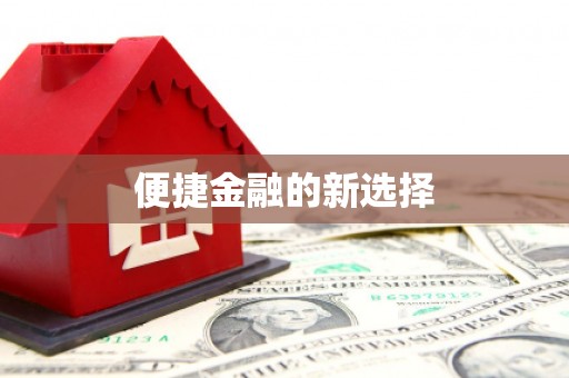 百色便捷金融的新选择