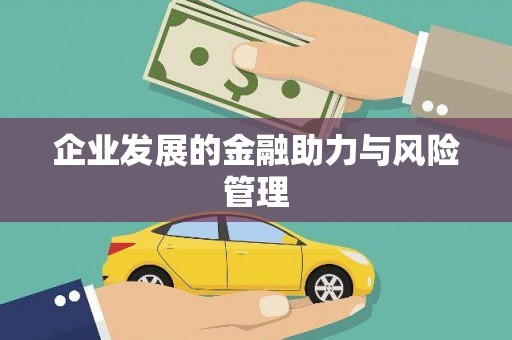 百色企业发展的金融助力与风险管理
