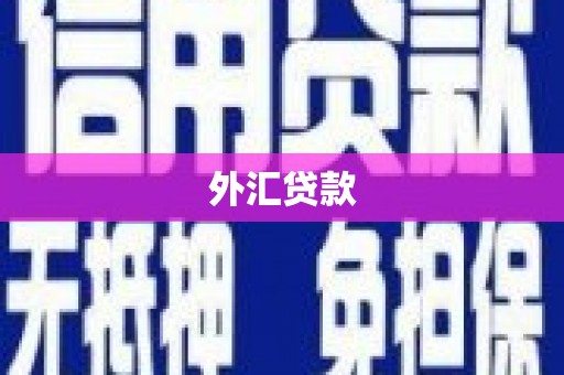 百色外汇贷款