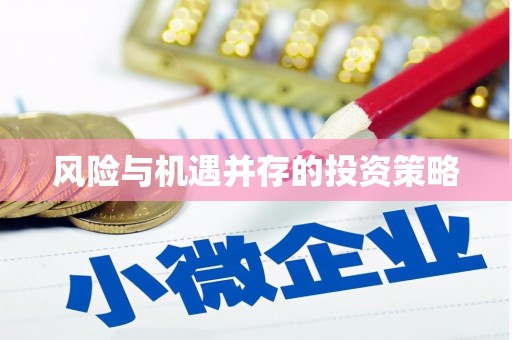 百色风险与机遇并存的投资策略