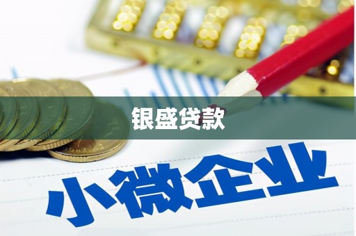 百色银盛贷款