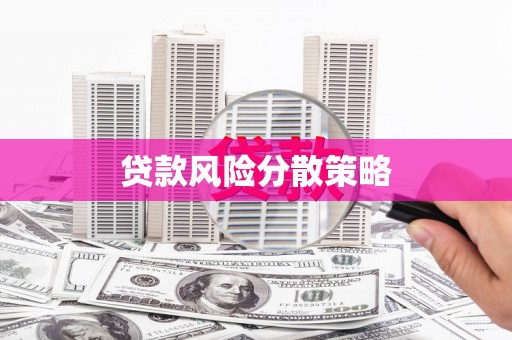 百色贷款风险分散策略
