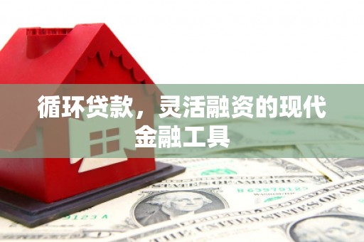 百色循环贷款，灵活融资的现代金融工具