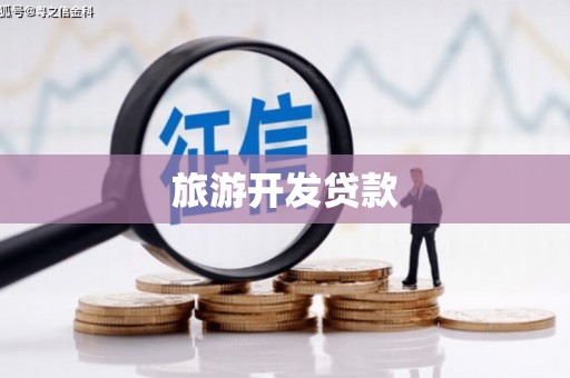 百色旅游开发贷款