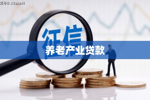 百色养老产业贷款