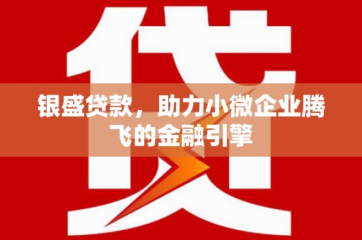 百色银盛贷款，助力小微企业腾飞的金融引擎