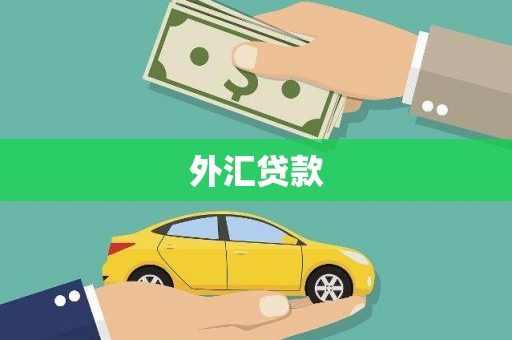 百色外汇贷款