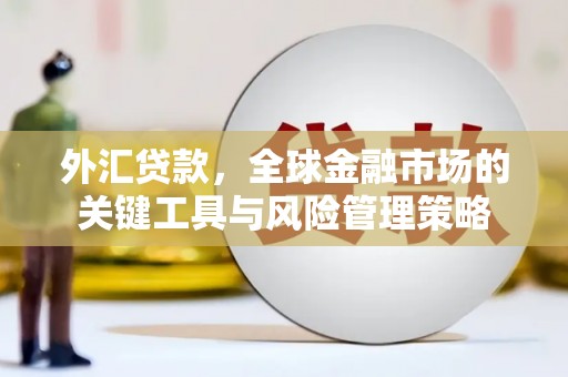 百色外汇贷款，全球金融市场的关键工具与风险管理策略