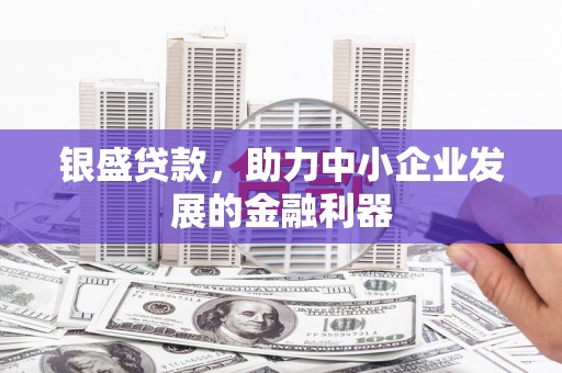 百色银盛贷款，助力中小企业发展的金融利器