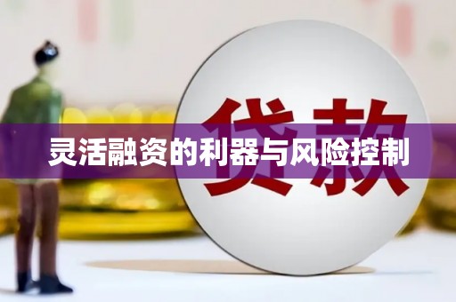 百色灵活融资的利器与风险控制