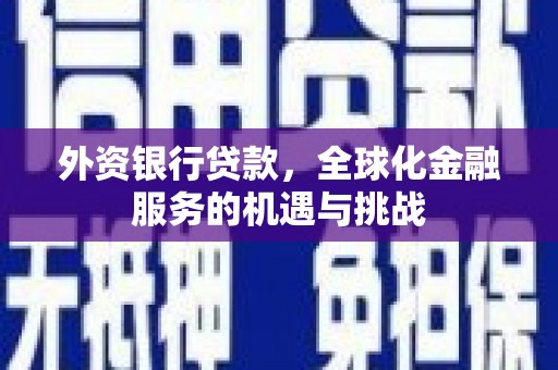 百色外资银行贷款，全球化金融服务的机遇与挑战