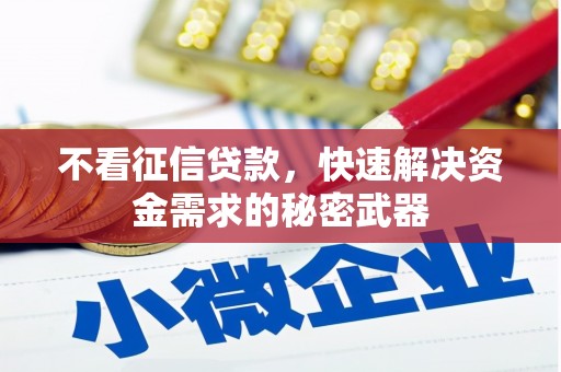 百色不看征信贷款，快速解决资金需求的秘密武器