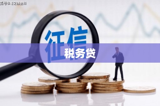 百色税务贷