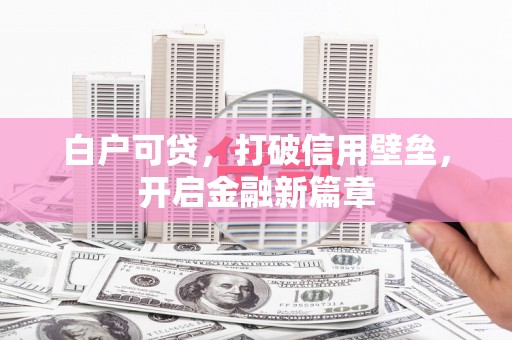 百色白户可贷，打破信用壁垒，开启金融新篇章