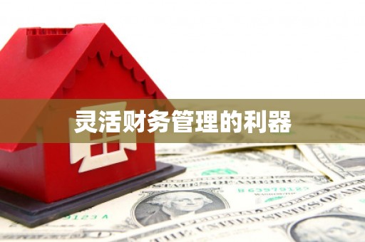 百色灵活财务管理的利器