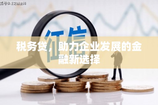 百色税务贷，助力企业发展的金融新选择