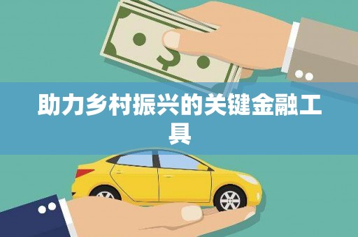 百色助力乡村振兴的关键金融工具