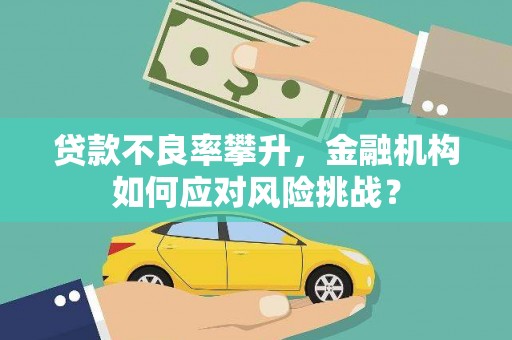 百色贷款不良率攀升，金融机构如何应对风险挑战？