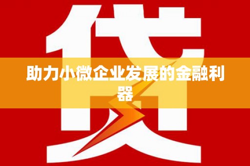 百色助力小微企业发展的金融利器