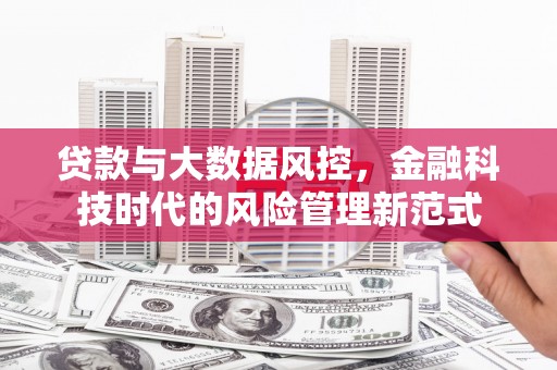 百色贷款与大数据风控，金融科技时代的风险管理新范式