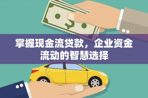 百色掌握现金流贷款，企业资金流动的智慧选择