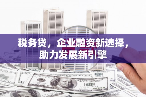 百色税务贷，企业融资新选择，助力发展新引擎