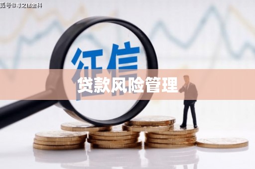 百色贷款风险管理