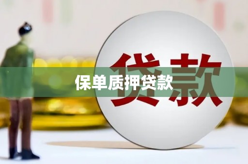 百色保单质押贷款