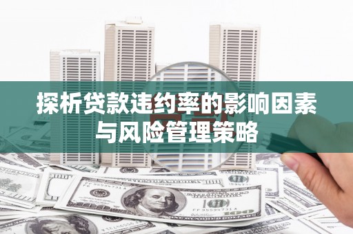 百色探析贷款违约率的影响因素与风险管理策略