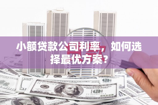 百色小额贷款公司利率，如何选择最优方案？