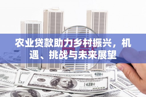 百色农业贷款助力乡村振兴，机遇、挑战与未来展望