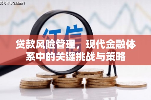 百色贷款风险管理，现代金融体系中的关键挑战与策略