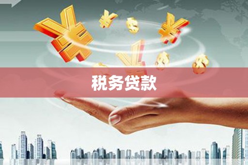 百色税务贷款