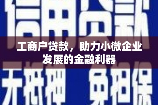 百色工商户贷款，助力小微企业发展的金融利器