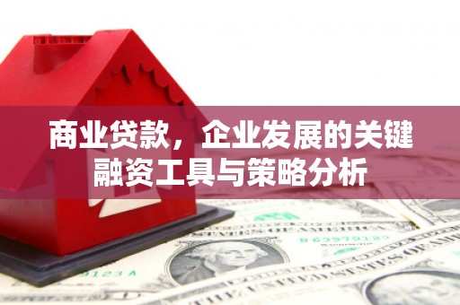 百色商业贷款，企业发展的关键融资工具与策略分析