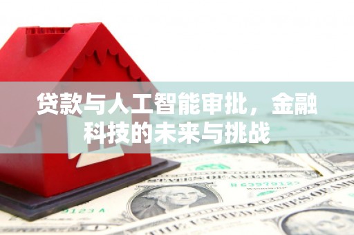 百色贷款与人工智能审批，金融科技的未来与挑战