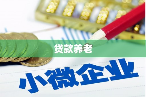 百色贷款养老
