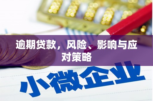 百色逾期贷款，风险、影响与应对策略