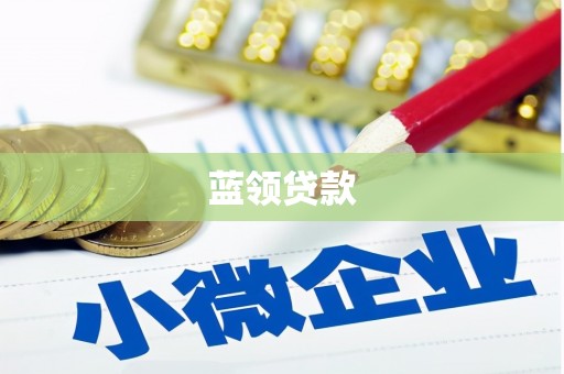 百色蓝领贷款