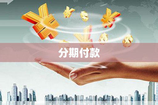 百色分期付款