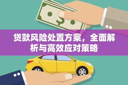 百色贷款风险处置方案，全面解析与高效应对策略