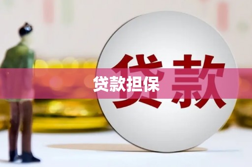 百色贷款担保